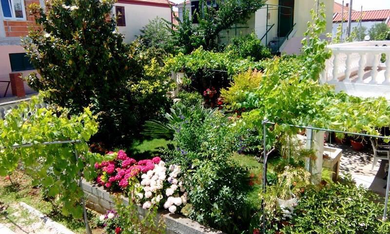 Apartment Matovina Zadar Eksteriør billede